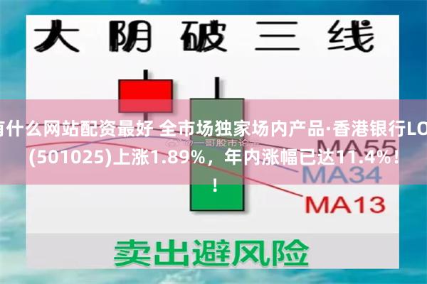 有什么网站配资最好 全市场独家场内产品·香港银行LOF(501025)上涨1.89%，年内涨幅已达11.4%！