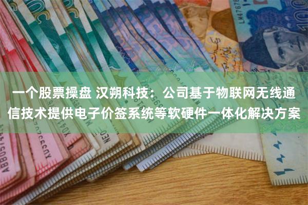 一个股票操盘 汉朔科技：公司基于物联网无线通信技术提供电子价签系统等软硬件一体化解决方案