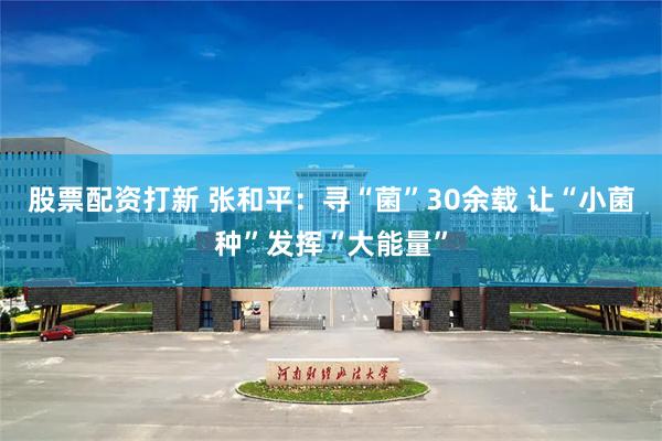 股票配资打新 张和平：寻“菌”30余载 让“小菌种”发挥“大能量”