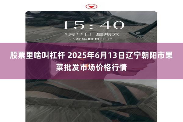 股票里啥叫杠杆 2025年6月13日辽宁朝阳市果菜批发市场价格行情